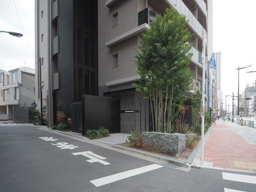 前面道路（撮影 2026.02）