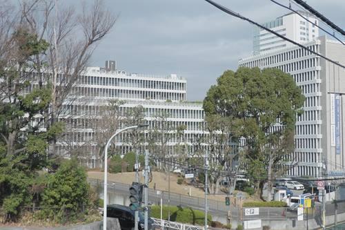 目黒区役所 710m