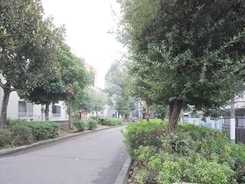 玉川上水旧水路緑道 西原緑道 270m