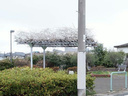 井頭泉緑地 230m