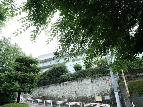 日本女子大学附属豊明幼稚園 320m