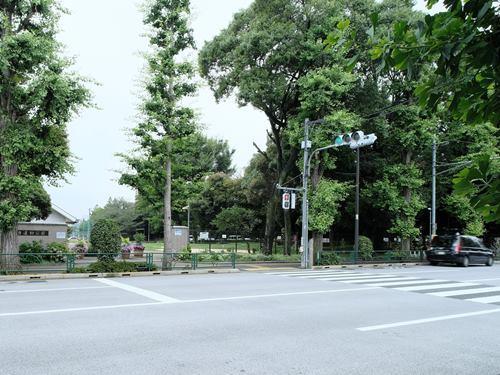 目白台運動公園 100m