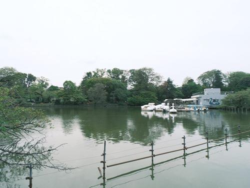 井の頭恩賜公園 1180m