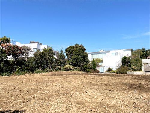 現地写真（2026年4月撮影）