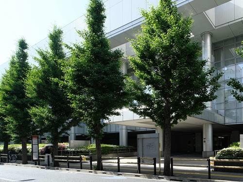 東京山手メディカルセンター 780m