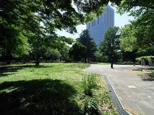 戸山公園 250m