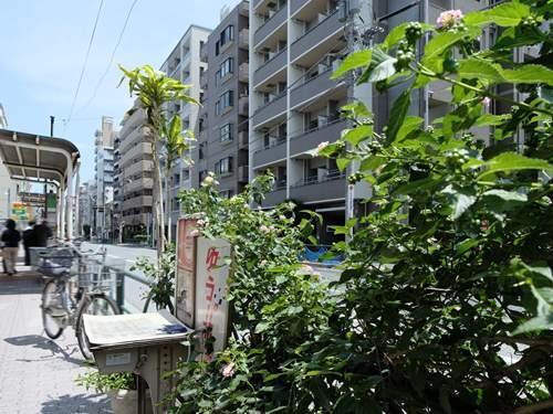 前面道路（撮影 2026.06）