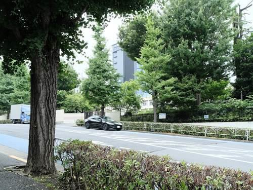 渋谷区立千駄谷小学校 610m