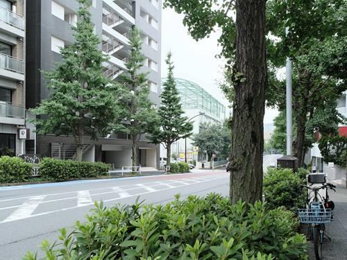 渋谷区立原宿外苑中学校 830m