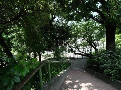 新宿区立北新宿公園 120m