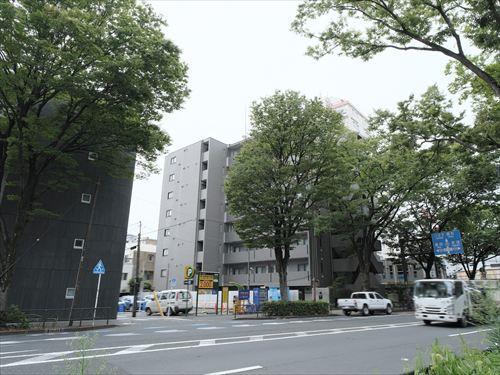 前面道路（撮影 2026.08）