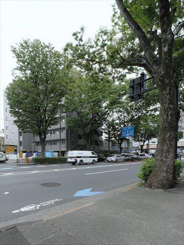 前面道路（撮影 2026.08）