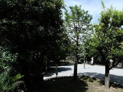中野区立中央西公園 350m