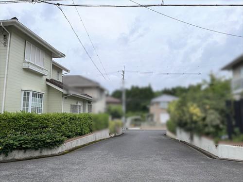 北側前面道路（2024年6月撮影）