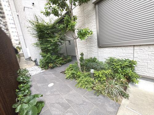 北側アプローチ２