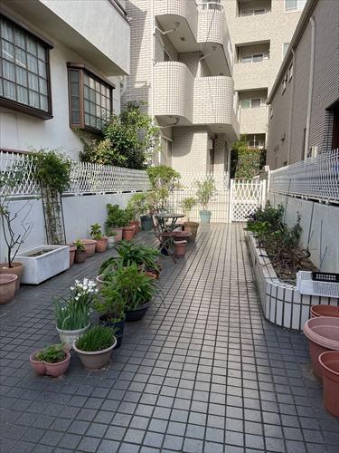 現地（路地状部分）