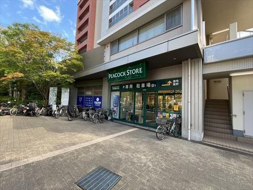 ピーコックストア三軒茶屋の杜店520m