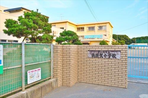 茅ヶ崎市立浜須賀小学校まで980m