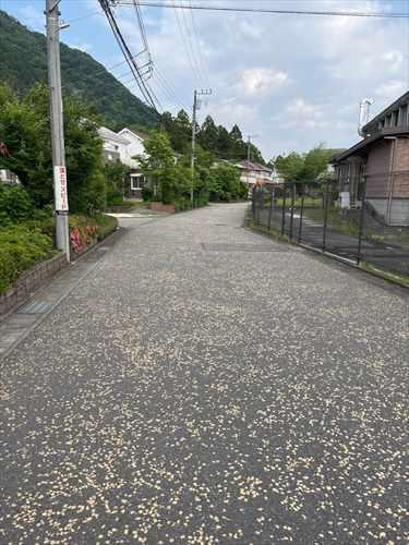 前面道路