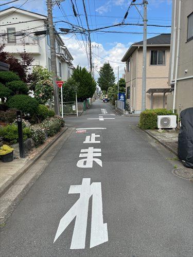 前面道路(南東側)