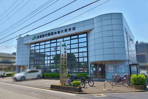 JA相模原市相模大野支店まで290m