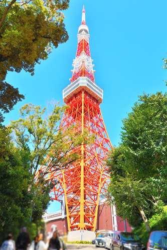 東京タワーまで520ｍ