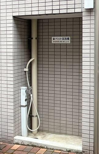 ペット足洗い場