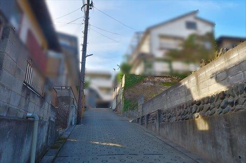 前面道路（2025年11月撮影）