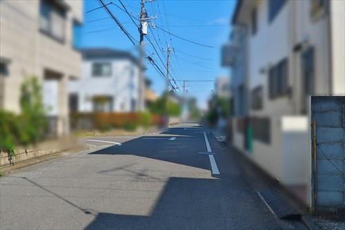 北西側前面道路（2025年10月撮影）