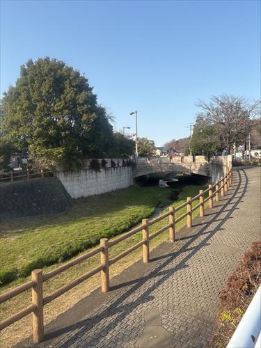 北側歩道（2026年3月撮影）