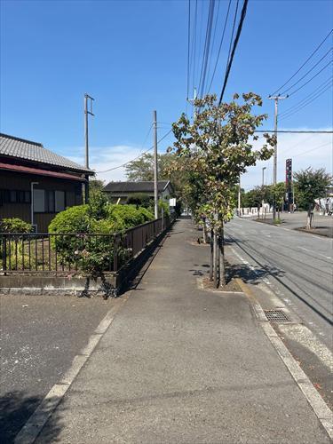 北東側前面道路（2025年9月撮影）