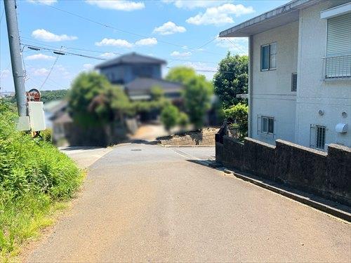 北側前面道路(2026年5月撮影)