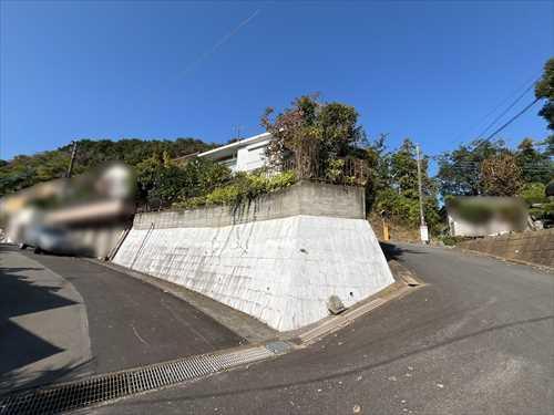 現地写真(2025年11月撮影)