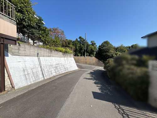 南側前面道路(2025年11月撮影)