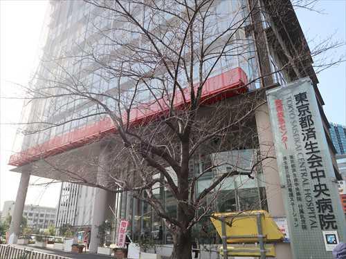 東京都済生会中央病院まで500m