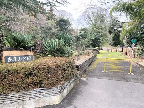 当麻山公園まで490m