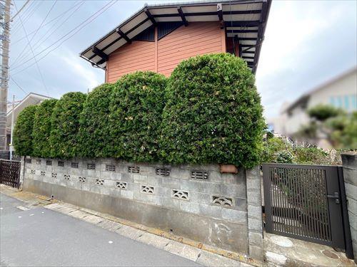 現地(2026年3月撮影) 現地(2026年3月撮影)