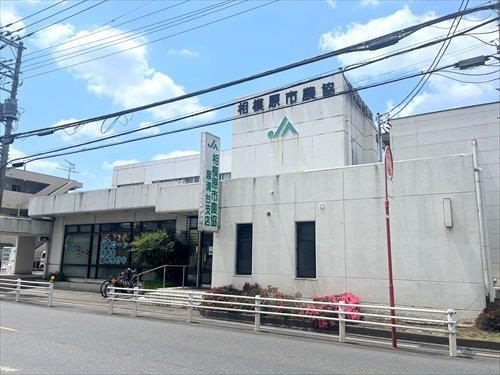 JA相模原市麻溝台支店まで1120m JA相模原市麻溝台支店まで1120m