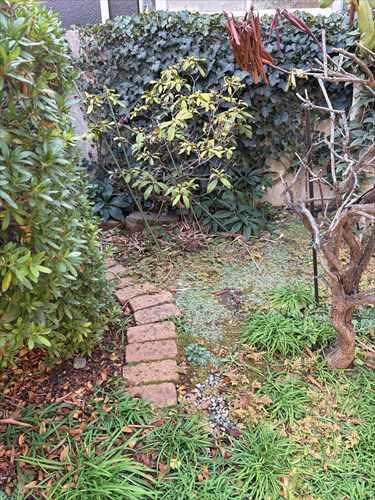 現地(2026年2月撮影) 現地(2026年2月撮影)