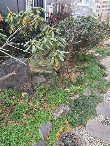 現地(2026年2月撮影) 現地(2026年2月撮影)