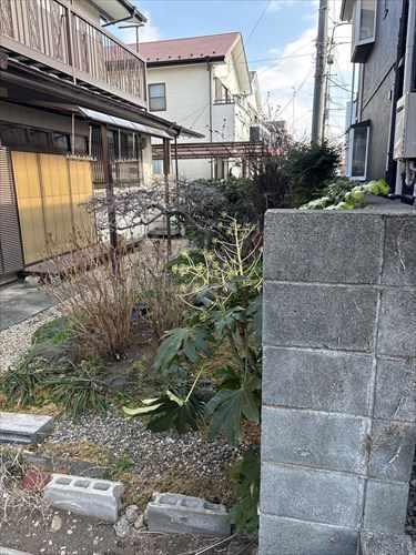 現地(2026年2月撮影) 現地(2026年2月撮影)