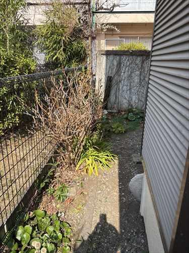 現地(2026年2月撮影) 現地(2026年2月撮影)