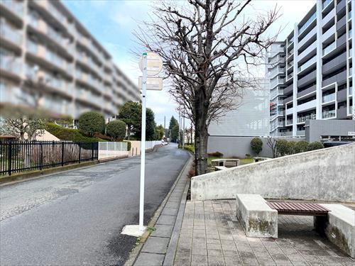 現地含む前面道路（2026年3月撮影）