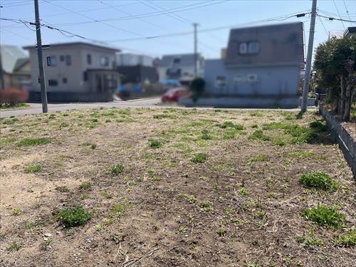 現地写真（敷地内から撮影）