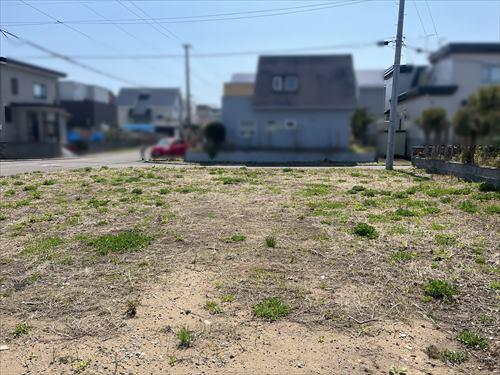 現地写真（敷地内から撮影）