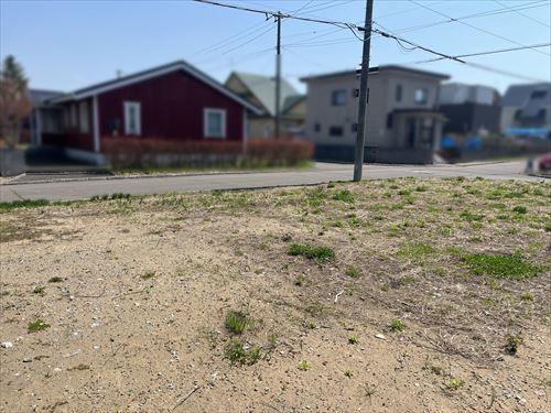 現地写真（敷地内から撮影）