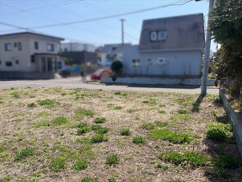現地写真（敷地内から撮影）