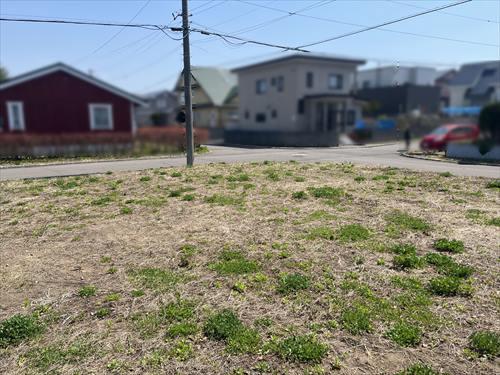 現地写真（敷地内から撮影）