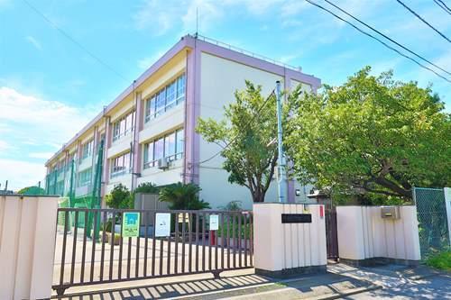 川崎市立下布田小学校まで320ｍ