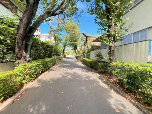 【現地前面道路2025年10月撮影】